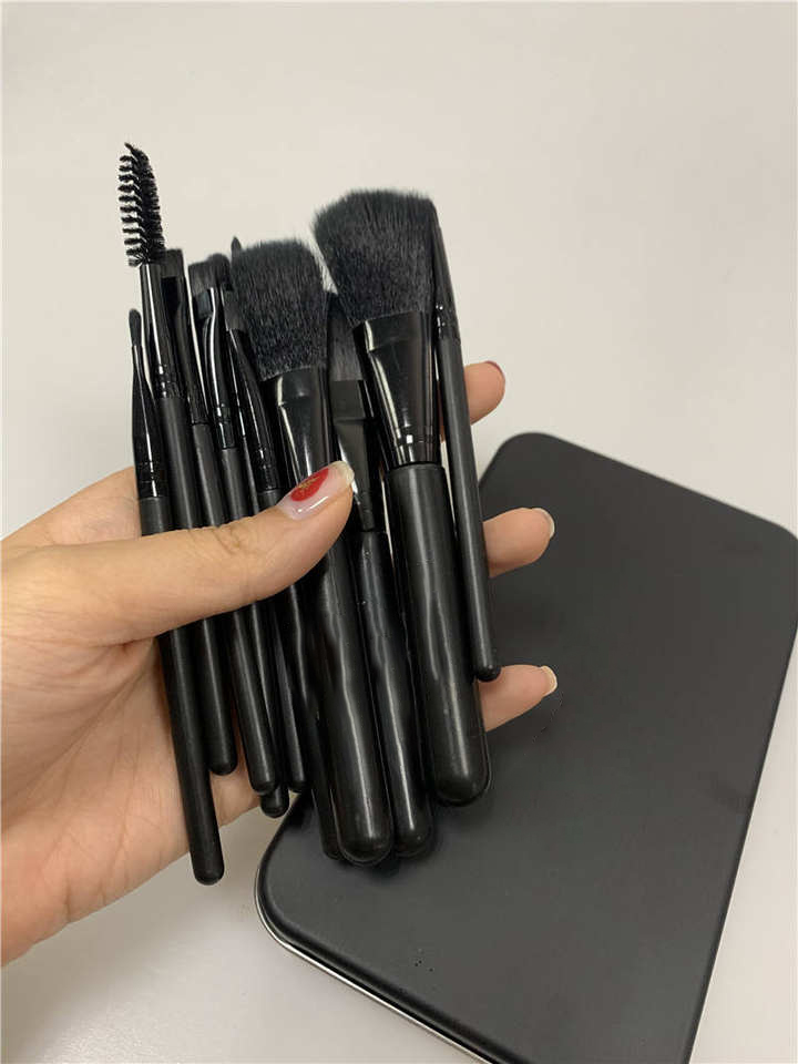 12Pcs Makeup Brush Set Face Makeup Eyeshadow Eyeliner Lip Brush Set Tool With Metal Box Makeup Brushes