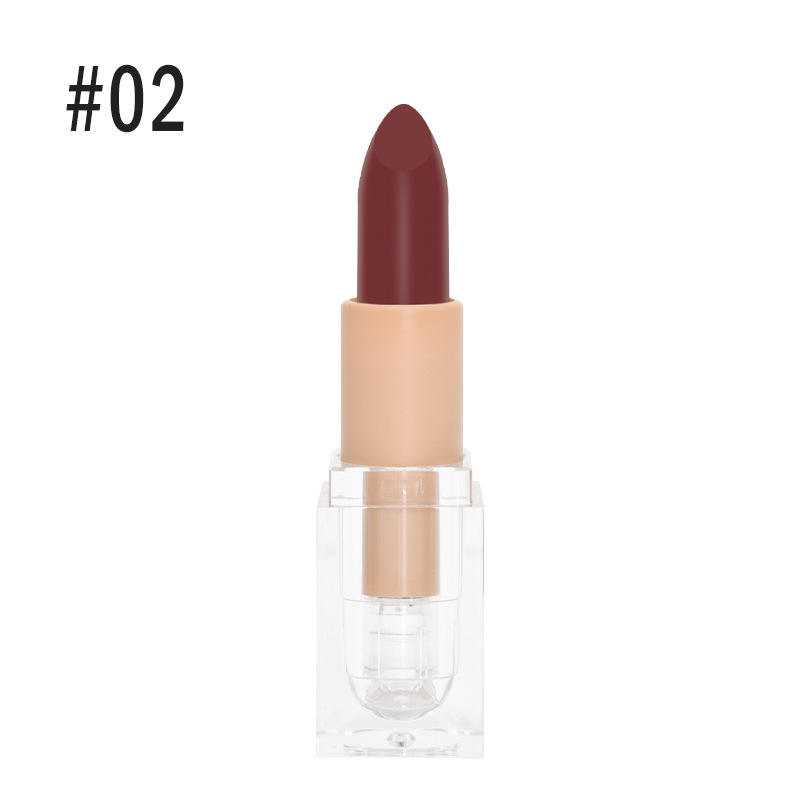 Private Label Ice Square Shape Transparent Crystal Tube Custom Matte Pigment Lipstick