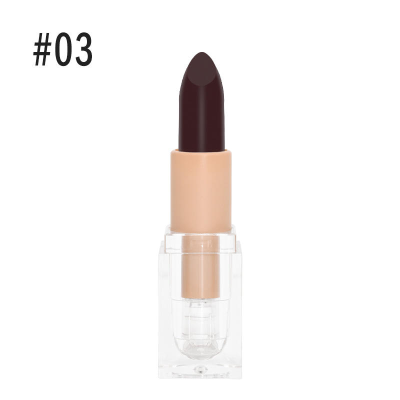 Private Label Ice Square Shape Transparent Crystal Tube Custom Matte Pigment Lipstick