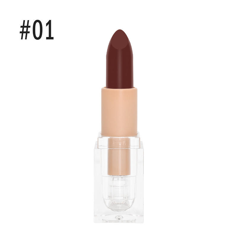 Private Label Ice Square Shape Transparent Crystal Tube Custom Matte Pigment Lipstick